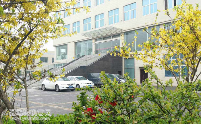 新型透水磚機廠家