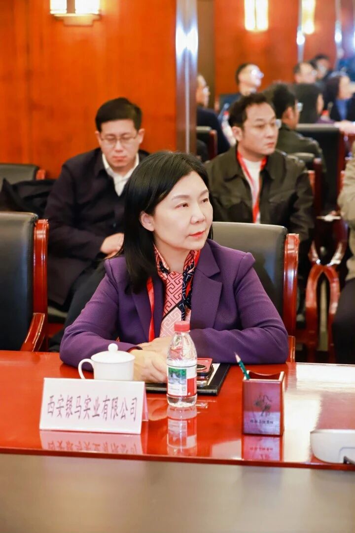 西安銀馬參加煤碳資源型城市煤矸石百千萬(wàn)噸級(jí)產(chǎn)業(yè)化項(xiàng)目技術(shù)方案精準(zhǔn)對(duì)接會(huì)