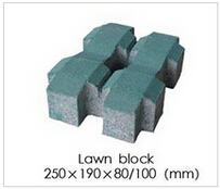 草坪磚