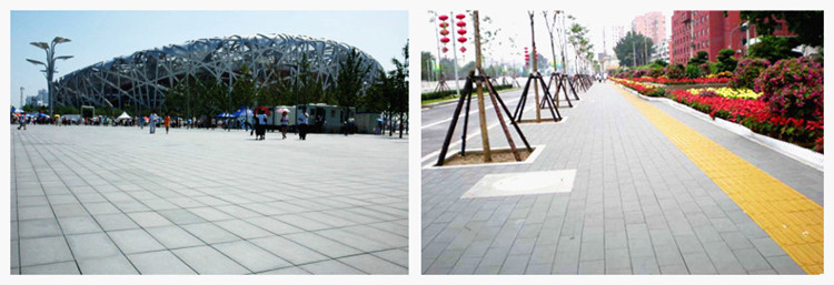 42.鳥巢網頁圖_副本_副本